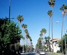 アメリカ大学正規留学経験者が幅広く英語翻訳します 課題の添削からYouTube字幕まで幅広く対応 イメージ2