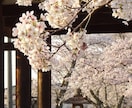 あなたの存在理由・魂の使命・人生の目的を霊視します 魂のルーツを読み解き、果たすべき使命と進むべき未来を導きます イメージ9