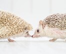 あなたの彼女になります 一緒に恋人気分を味わってみませんか？ イメージ4