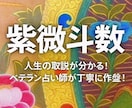 紫微斗数で宿命を占い、開運のお手伝いをいたします ★日本では馴染みがないですが、圧倒的的中率の占術です★ イメージ1