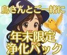 飼い主様＋鳥さん【年末限定】｜年越し前に浄化します 飼い主様と鳥さんが穏やかに新年を迎えるためのエネルギー調整 イメージ1