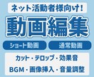 ネット活動者様向け！切り抜き・動画編集します ゲーム・雑談・自己紹介などジャンルを問わず承ります！ イメージ1