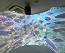 VRゴーグル不要の全員参加型VRを提案します 360°動画再生に最適なVRプロジェクターを使用したイベント イメージ3