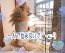 あなたの子育て応援します シングルマザーが疲れた心に寄り添います イメージ7