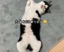 恋愛相談のります どんな恋愛でもドンと来いです！笑 イメージ1