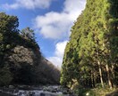 今まさに人間関係でお悩みの方、お話しうかがいます 職場の上司・同僚・家族・友人・恋人等々何でもお話しください イメージ1