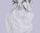 犬や猫などペットの肖像画を描きます ペットの似顔絵、イラスト、オーダーメイド イメージ4