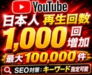 YouTubeで1000回の日本再生増やします 日本人再生回数を+1000人！【最大10万人まで対応】 イメージ10