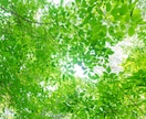 今知りたい！！気になる仕事の人間関係☆鑑定します タロットリーディング《仕事》相性・その他◎あなたへメッセージ イメージ8