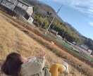 空き家の整備や、墓石の掃除を行います 『気になってる』『本当は行きたい』を代わりに行います。 イメージ1