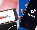 TikTok、yotubeの動画編集を行います ★盛る動画、基準動画作成します。顧客にはフォロワー万人級有。 イメージ1