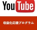 YouTube収益化！最大10万再生 拡散します 短い動画でもOK★1,000再生から対応可　（全て国内再生） イメージ1