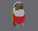 お好きな鳥さん、インコをイラストにします お気に入りの1枚から主線なしのお洒落なイラストを仕上げます イメージ4
