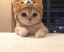 共感能力高めな私が、あなたのお話し受け取ります 話すのは苦手！という、私みたいな方へLINE感覚で60分！ イメージ5