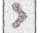 分子シミュレーション代行いたします 対応分野：創薬/材料開発/化粧品/水分子/高分子/カーボン等 イメージ1