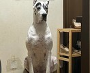 響く！伝わる！キャッチコピー提供します 本能に届くメッセージを提供しマッスル イメージ3