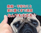 あなたの愚痴聴き専門☆ココナラでもOpenします 〜カウンセラー&アドバイザーがお力になります〜 イメージ1