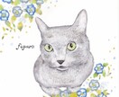 可愛いペット似顔絵お描きします ＊カラフル＊シンプル＊お客様好みに＊思い出をイラストに＊ イメージ2