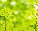 頑張り過ぎて疲れ切ってるあなたへ。タブーの言霊で、生きる活力が戻ります♪ イメージ1