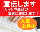 あなたのホームページ・動画をPRし集客に貢献します ショップやサービスをブログで紹介！魅力を120％伝え集客UP イメージ1