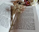あなたの為の小説をお届けします あなただけのオリジナル小説をよんでみませんか？ イメージ1