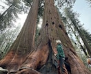 ロサンゼルス観光ガイド現地在住者がガイドします ラスベガス、カリフォルニアエリアも案内いたします。 イメージ6