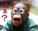 雑談・悩み相談聞きます 新しい発見は、違う環境の言葉から生まれる イメージ4