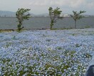 気楽に心の悩みを話出来る環境作ります あなたの悩み吐き出して新しく前に進みませんか。 イメージ3