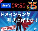 外部SEO鬼対策！DR75以上に引き上げます 権威性を高め名誉的なサイトに！ イメージ1