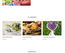 HTML、CSSでWebサイトの軽微な修正をします 文章・画像の差し替え、色や余白の調整など丁寧に対応します イメージ2