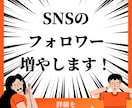 フォロワーを増やす！SNS運用を手伝います SNS始めてみたけど、どうしたらいいかわからない？ イメージ1