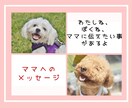 ペットちゃんが、感じている事をお伝えします 私ね、僕ね、ママに伝えたい事があるよ。ペットちゃんからの言葉 イメージ1