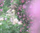 お子さまとの魂の相性を読み解きます 子供とどう接したらいいかわからない‥そんなお悩みを解決！ イメージ2