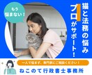 猫カフェ顧問・猫専門行政書士が質問にお答えします 猫と法務の悩み、プロがお答えいたします！ イメージ1