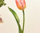 現役藝大生が似顔絵をソックリ美しく描きます 現役藝大生があなたやペットの似顔絵をソックリに描きます イメージ4