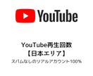 YouTube再生回数日本エリア1000増やします 日本エリアリアルアカウント、1000以上も承ります イメージ1