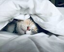 あなたのお話聞かせていただきます まったり雑談しましょう♡どんなことでも大歓迎です！ イメージ4