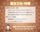 国家資格★お子様の進路をキャリコンが鑑定します お子様の進路と適性／親目線で関わり方と判断軸を整理 イメージ5