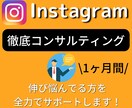 インスタを一ヶ月間、徹底コンサルします ！フォロワーが増えない。集客に苦戦してる方、必見！ イメージ1