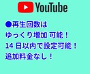 評価付まで最低料金でYouTube再生回数上げます 再生回数&チャンネル登録をセットで最低料金でご提供 イメージ3