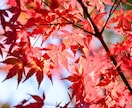 チャネリングと霊視でお相手の本音を読み取ります お相手の意識と恋の局面を可視化します イメージ2