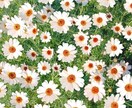 子どもの頃の辛さを抱えたあなたの気持ちを整理します アダルトチルドレン当事者の寄り添い/気持ちの整理/状況整理 イメージ11