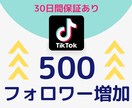 TikTokのフォロワー500人増やします 30日間の保証あり⭐️フォロワーが増えなくてお悩みの方必見 イメージ1