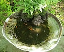 魂の願いを叶えるために波動調整します リピーターさん用メニューです。 イメージ1