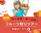 実質無料！初回限定！1500円分のクーポンつけます 実績作りのため限定10名のみのご案内 イメージ2