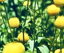 シータヒーリング®︎で思い込みを「かきかえ」ます 各種「浄化」及びビデオチャット対応✨ イメージ2