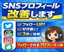 SNSプロフィール添削！プロ目線で改善します 3パターン提案★フォローされるプロフィールを作成 イメージ1
