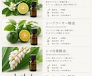 おしゃれな「パンフレット・プレゼン資料」作成します チラシ・会社案内・プレゼン資料など幅広く対応します イメージ1