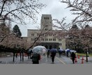 現役東工大生が2週間 大学受験の質問答えます 数学、物理、化学に不安がある人難関大受験の対策がしたいへ！ イメージ1