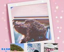 商品のネーミング、ペットの名前、アイデア考えます 笑い、楽しい、素敵！色んな独特のアイデア考えます！ イメージ1
